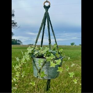 Macrame Plant Hanger